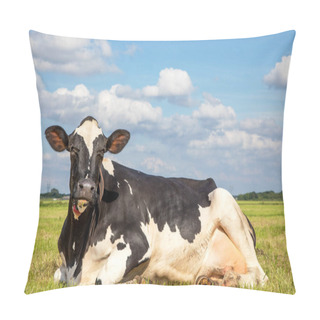 Personality  Black And White Holstein Cow Lying In Green Grass, Wearing A Collar Under A Blue Sky. Pillow Covers
