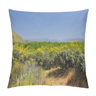 Personality  Springtime Wildflowers Are In Bloom Near The Town Of San Jacinto, California. Pillow Covers