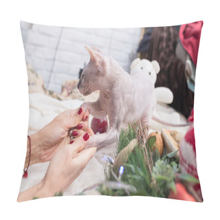 Personality  Don Sphynx Cat Pillow Covers