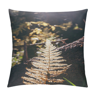 Personality  Close-up Shot Of Fern Branch In Mountain Forest Under Sunlight, Carpathians, Ukraine Pillow Covers