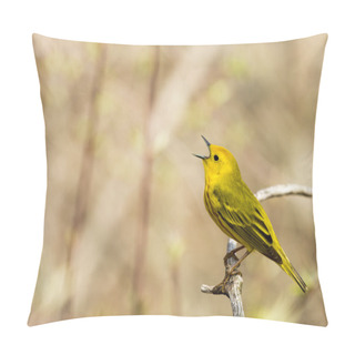 Personality  American Yellow Warbler Pillow Covers
