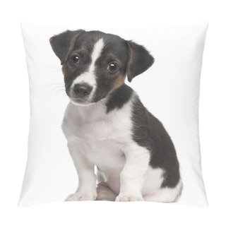 Personality  Jack Russell Terrier Puppy, 2 Months Old, Sitting In Front Of White Background Pillow Covers