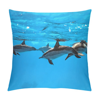 Personality  Dolphins Pillow Covers