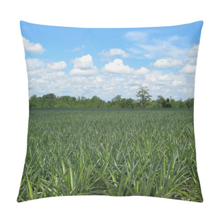 Personality  Pineappple Field Pillow Covers