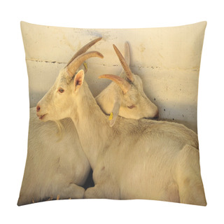 Personality  Love Goats Pillow Covers