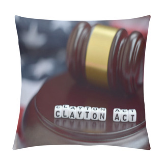 Personality  Justice Mallet And Clayton Act Characters Close Up With US Flag On Background Pillow Covers