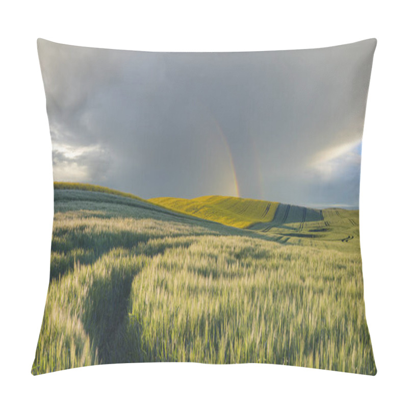 Personality  rainbow over a green field pillow covers
