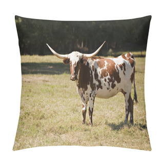 Personality  Texas Longhorn Cow In Meadow Pillow Covers