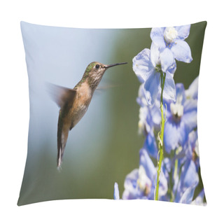 Personality  Humming Bird Feeding Pillow Covers