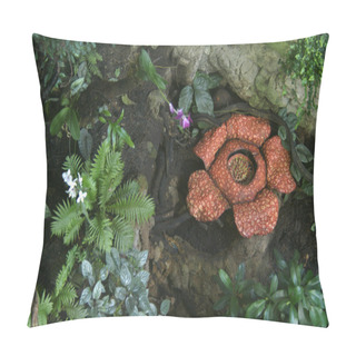 Personality  Rafflesia - Biggest Flower In World Pillow Covers