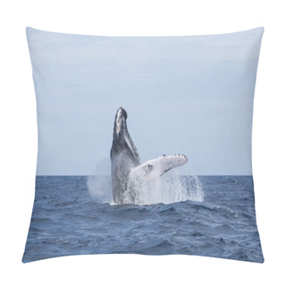 Personality  Humpback Whale Breaching Pillow Covers