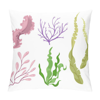 Personality  Sea Plants And Aquatic Marine Algae Seaweed Set Vector Illustration. Yellow And Brown, Red And Green Aquarium Pillow Covers