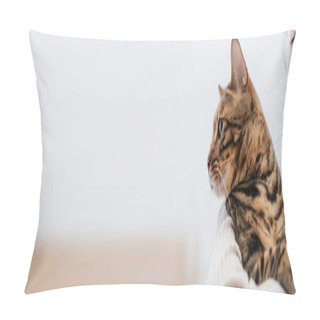 Personality  Cropped View Of Woman Holding Bengal Cat At Home, Banner  Pillow Covers