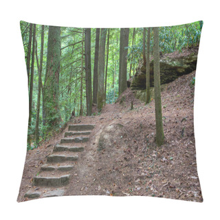 Personality  Old Stone Stair In The Mystic Woods Pillow Covers