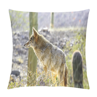 Personality  Coyote Pillow Covers