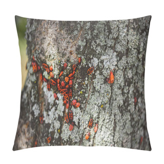 Personality  Selective Focus Of Colony Of Firebugs On Old Tree Trunk Pillow Covers