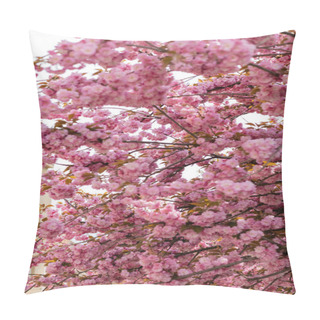 Personality  Pink Flowers On Branches Of Blooming Japanese Cherry Tree  Pillow Covers