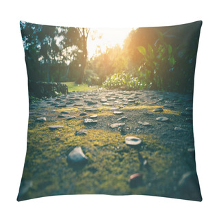 Personality  Walk Way In Green Forest For Background Usage. Pillow Covers