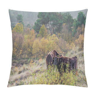 Personality  The Sand Dunes Of Schoorl In The Netherlands Pillow Covers