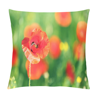 Personality  Meadow With Beautiful Bright Red Poppy Flowers In Spring Pillow Covers