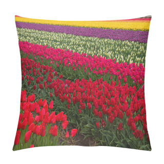 Personality  Stripes Of Dutch Tulips Pillow Covers