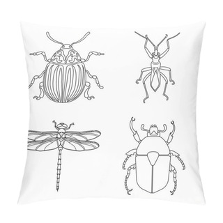 Personality  Isolated Object Of Insect And Fly Sign. Set Of Insect And Element Stock Symbol For Web. Pillow Covers