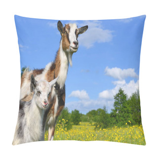 Personality  Goat With Kid In The Pasture Of Organic Farm Pillow Covers