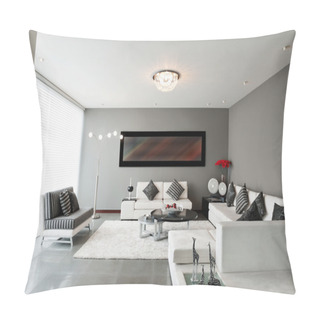 Personality  Interior Design: Living Room Pillow Covers