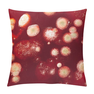 Personality  Mold Colonies Pillow Covers