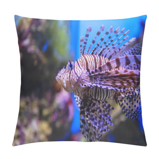 Personality  Pterois Volitans. Red Lionfish (Pterois Volitans) Aquarium Fish. Pillow Covers