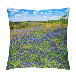 Personality  A Beautiful Panoramic Wide Angle Shot Of A Field Teeming With The Famous Texas Bluebonnet Wildflowers, In Texas. Pillow Covers