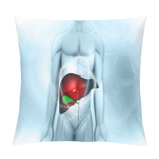 Personality  Human Body With Liver. 3d Illustration	 Pillow Covers