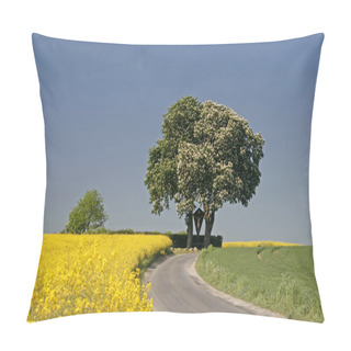 Personality  Rape Field With Chestnut Tree In May, Lower Saxony, Germany Pillow Covers