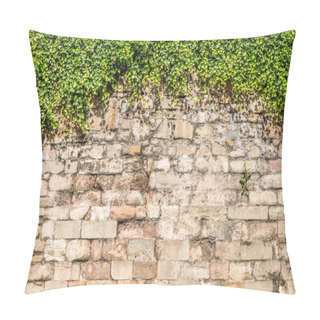 Personality  Old Medieval Wall Covered By Ivy Pillow Covers