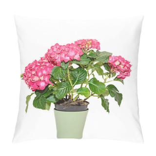 Personality  Red And Pink Hydrangea Flowers In A Green Flowerpot, Hortensia Pillow Covers