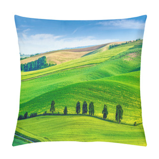 Personality  Rolling Landscape Of South Moravia With Trees. Pillow Covers