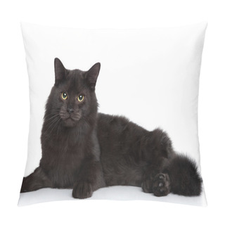 Personality  Siberian Cat On A White Background Pillow Covers