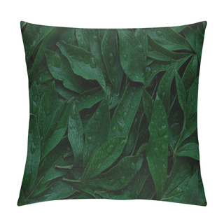 Personality  The Leaves Dark Green Color With Dew Drops, Full Frame, Used As Background Pillow Covers