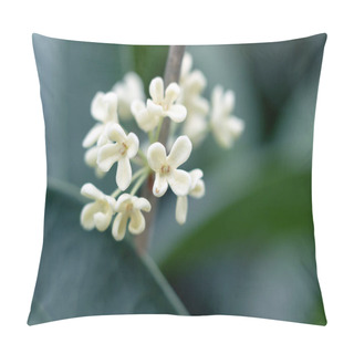 Personality  Close Up Of Osmanthus Flower On Branch Pillow Covers