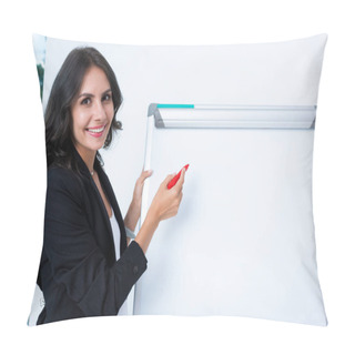 Personality  Pregnant Businesswoman Writing On Whiteboard Pillow Covers