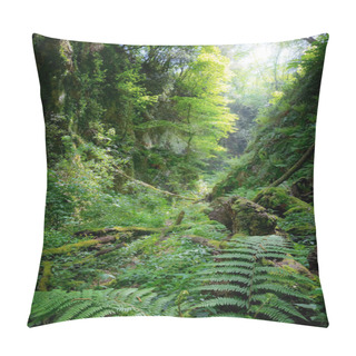 Personality  Deep Gorge With Vertical Walls In The Forest, Rich In Vegetation Pillow Covers