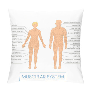 Personality  Human Muscular System Pillow Covers