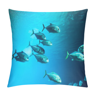 Personality  School Of Fishes Pillow Covers