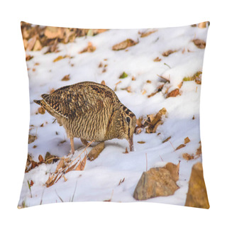 Personality  Camouflage Bird Woodcock. Brown Dry Leaves And Snow. Bird: Eurasian Woodcock. Scolopax Rusticola. Pillow Covers