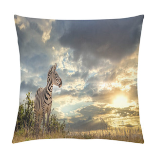 Personality  Herd Of Zebras On The African Savannah Pillow Covers