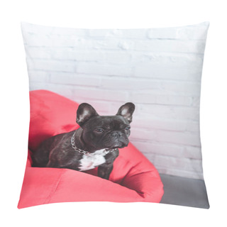 Personality  Funny Frenchie Dog Sitting On Red Bean Bag Pillow Covers