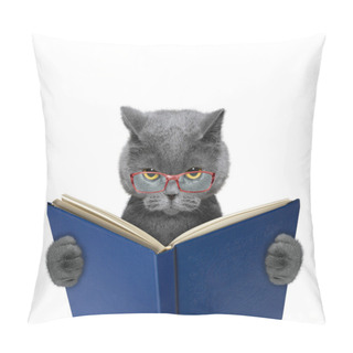 Personality  Evil Cat In Glasses Is Reading A Book  Pillow Covers