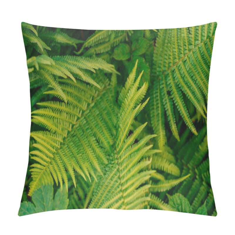 Personality  Green fern leaves texture pillow covers