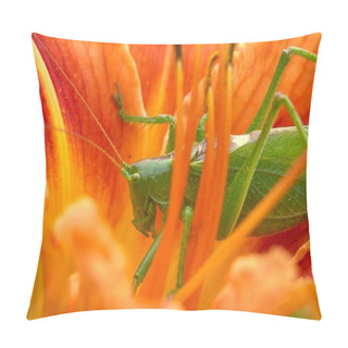 Personality  Grasshopper. Pillow Covers