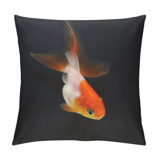 Personality  Goldfish On Black Background Pillow Covers